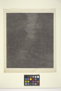 Moonlight Woods by Bolton Coit Brown