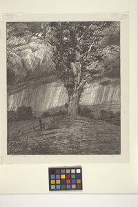 Storm by Bolton Coit Brown