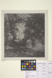The Picnic