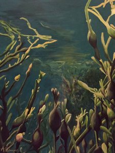 Underwater Kelp Forest