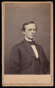 Portrait of Lyman Trumbull by Brady