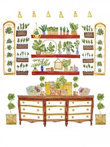 Lush Indoor Garden
