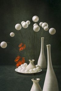 Abstract Floral Elegance by Brig Barkow
