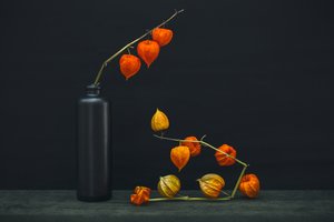 Chinese Lantern Glow by Brig Barkow