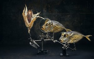 Curious Fish Still Life by Brig Barkow