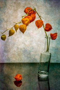 Glowing Autumn Lanterns by Brig Barkow