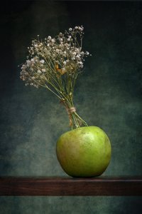 Green Apple Bouquet by Brig Barkow