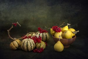 Harvest Gourds and Berries by Brig Barkow