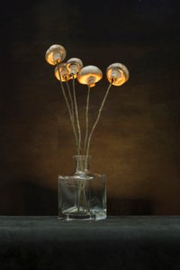 Illuminated Mushroom Vase by Brig Barkow