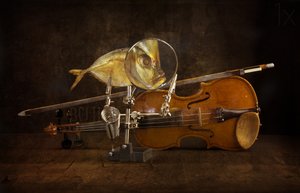 Magnified Fish and Violin by Brig Barkow