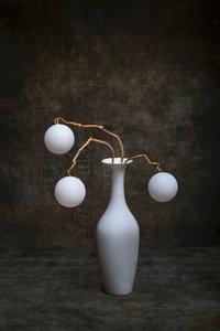 Minimalist Vase Display by Brig Barkow