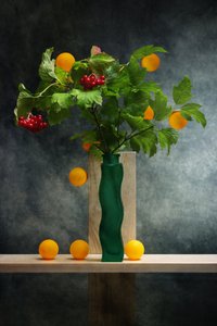 Modern Still Life Fruits by Brig Barkow