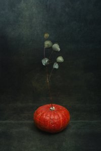 Moody Pumpkin Eucalyptus by Brig Barkow