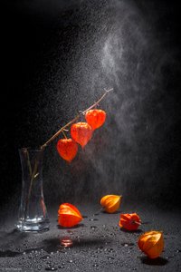 Vibrant Orange Lanterns by Brig Barkow