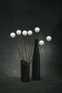 White Spheres Dark Vases by Brig Barkow