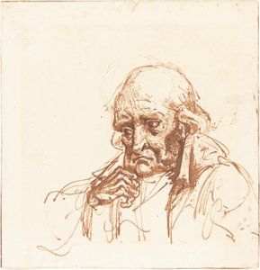 Head of an Old Man