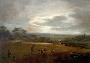 Ploughing and Dibbling Beans