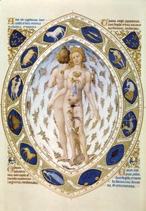 The Human Body and the Horoscope, from "Les Tres riches Heures du Duc de Berry" (miniature) by Brothers Limbourg