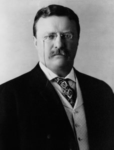 Theodore Roosevelt, c.1904