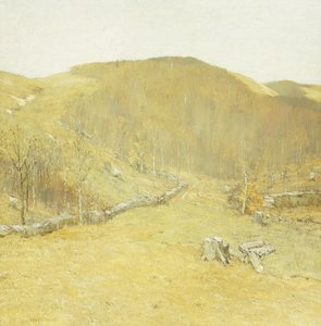 The Hills