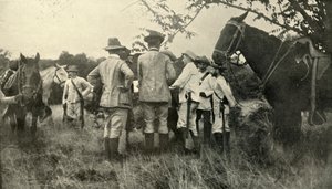 General Lawton Learning from Cuban Officers...June 30th, Spanish-American War, 1898, 1899 by Burr McIntosh