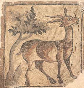 Ram near a Tree