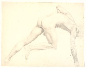 Nude Bent Over Male Model