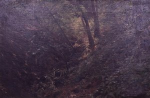 Spring in a Gorge by C.A. Kølle