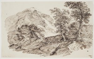 Mountain Landscape with Trees by C.F. von Rumohr