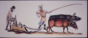 Medieval Men Ploughing with Oxen, from a Scene from the Luttrell Psalter