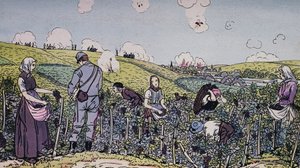 Our Winegrowers Harvested Under Fire, the Harvest in the Champagne Region in 1914 by J.B. and Brown J. Rowbotham