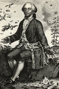 Portrait of Georges-Louis Leclerc de Buffon (1707-1788), French naturalist and mathematician, engraving by J.B. and Brown J. Rowbotham