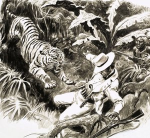 Tiger attacking hunter