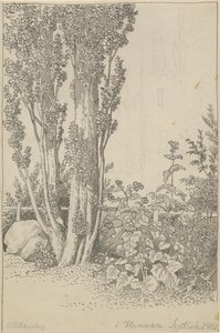 Poplars and Wild Plants at Hannau by Christoffer Wilhelm Eckersberg