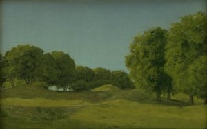 Study from the Deerpark near Copenhagen