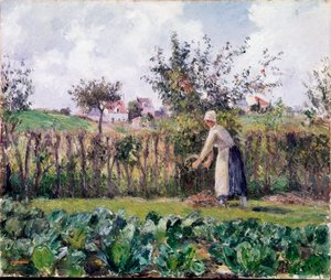 In the garden