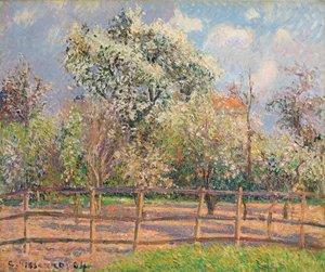 Pear Trees in Bloom, Eragny (1894)