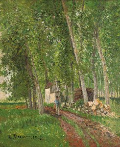 Undergrowth at Moret