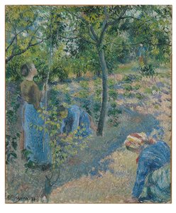Apple Picking