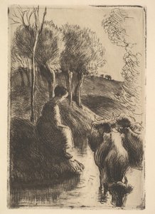 Cowherd at Water