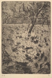 The Cabbage Field by Camille Jacob Pissarro