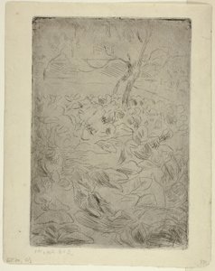 Woman in the Kitchen Garden