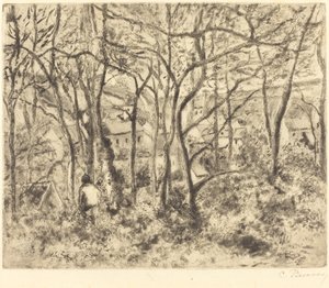 Wooded Landscape at L