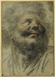 Head of a bearded man, looking up to the right