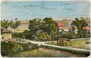 Tonga, c1885 by Canedi Barberis