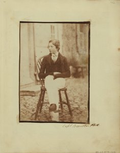 Portrait of a Young Boy