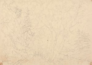 Holne Chase, 30 May 1833