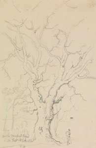 On the Newport Road, 12 February 1826