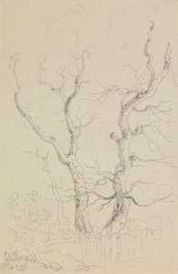 On the Newport Road, Isle of Wight by Capt. Thomas Hastings