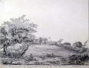 A Front View of Napoleon I